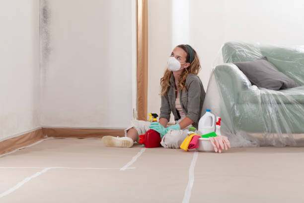 Reliable Mold Remediation contractor in Texas, TX by WQB Mold Removal